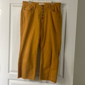 Judy Blue Crop Jeans